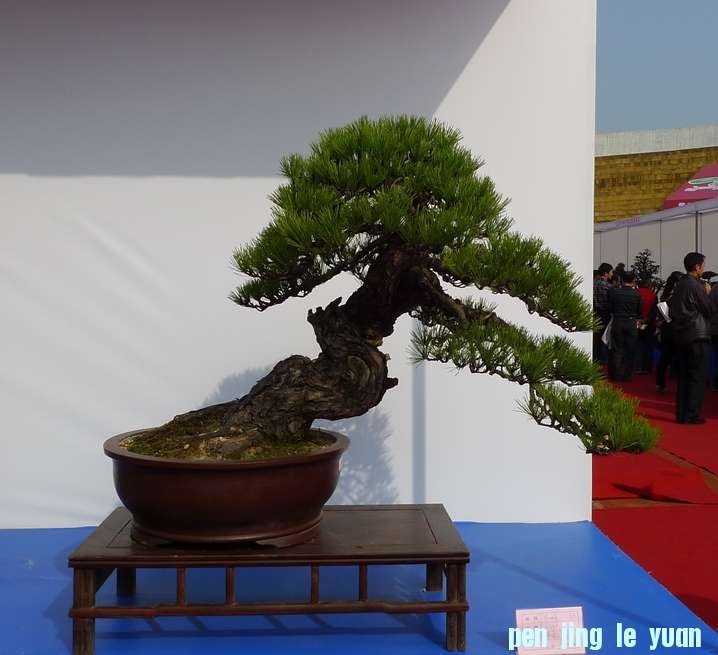 P1010238.JPG