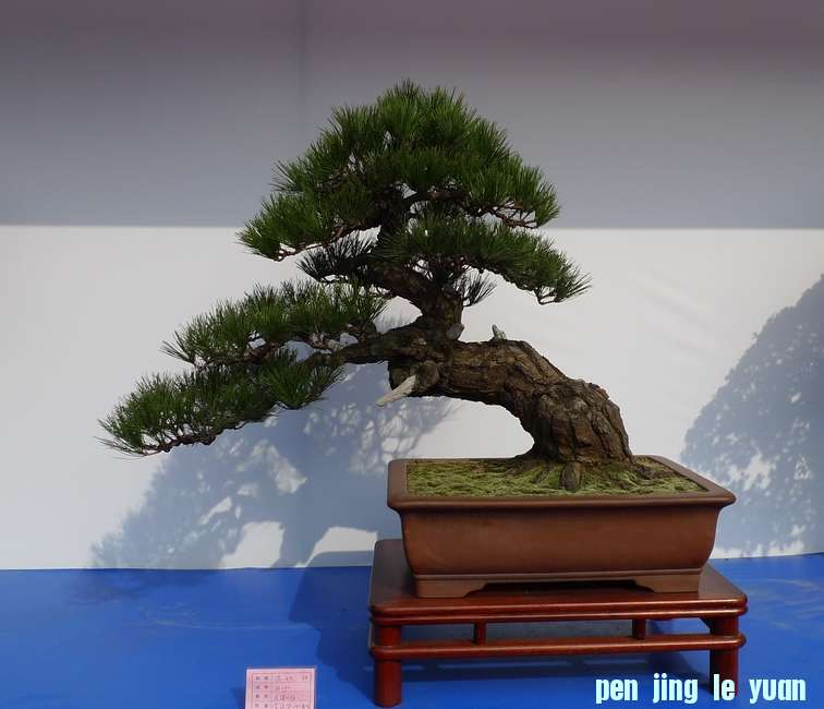 P1010236.JPG