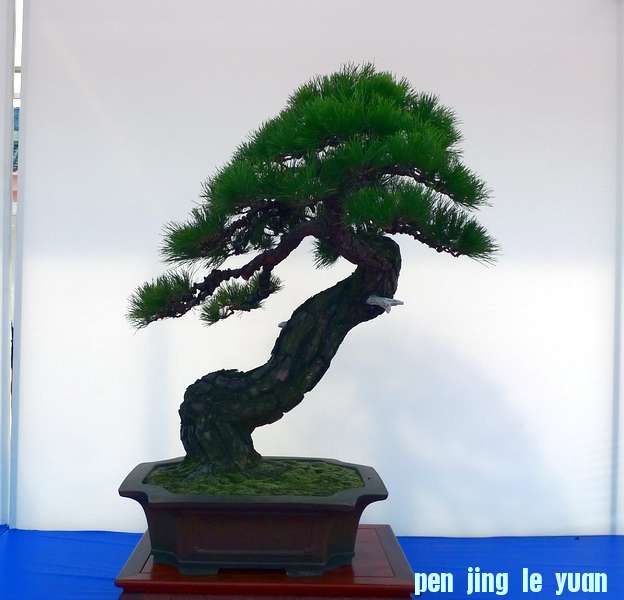 P1010224.JPG
