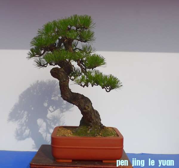 P1010222.JPG