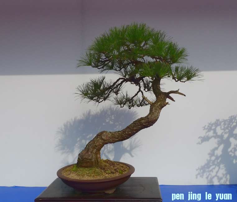 P1010221.JPG