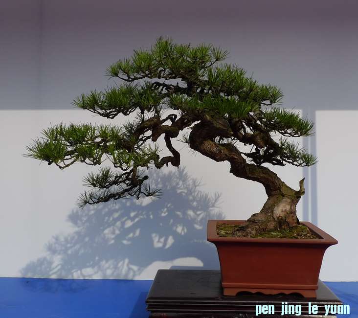 P1010220.JPG