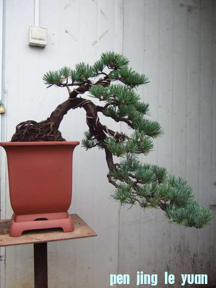 DSCF6919.jpg