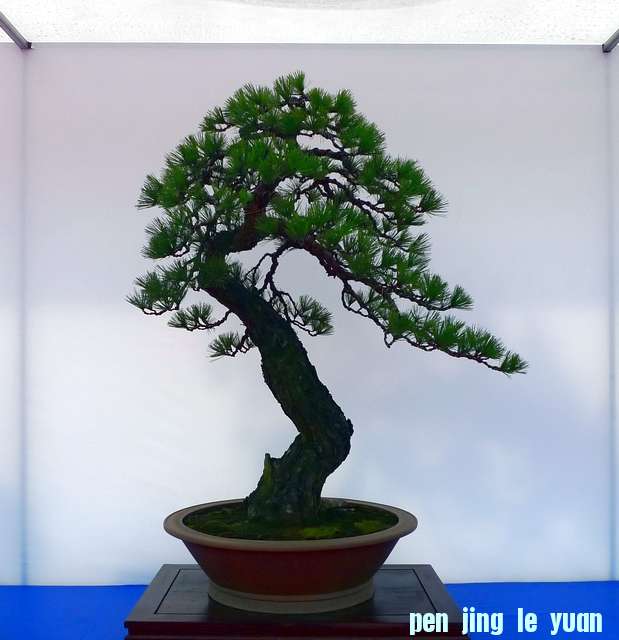 P1010213.JPG