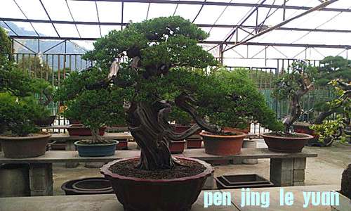 IMAG0492_.jpg