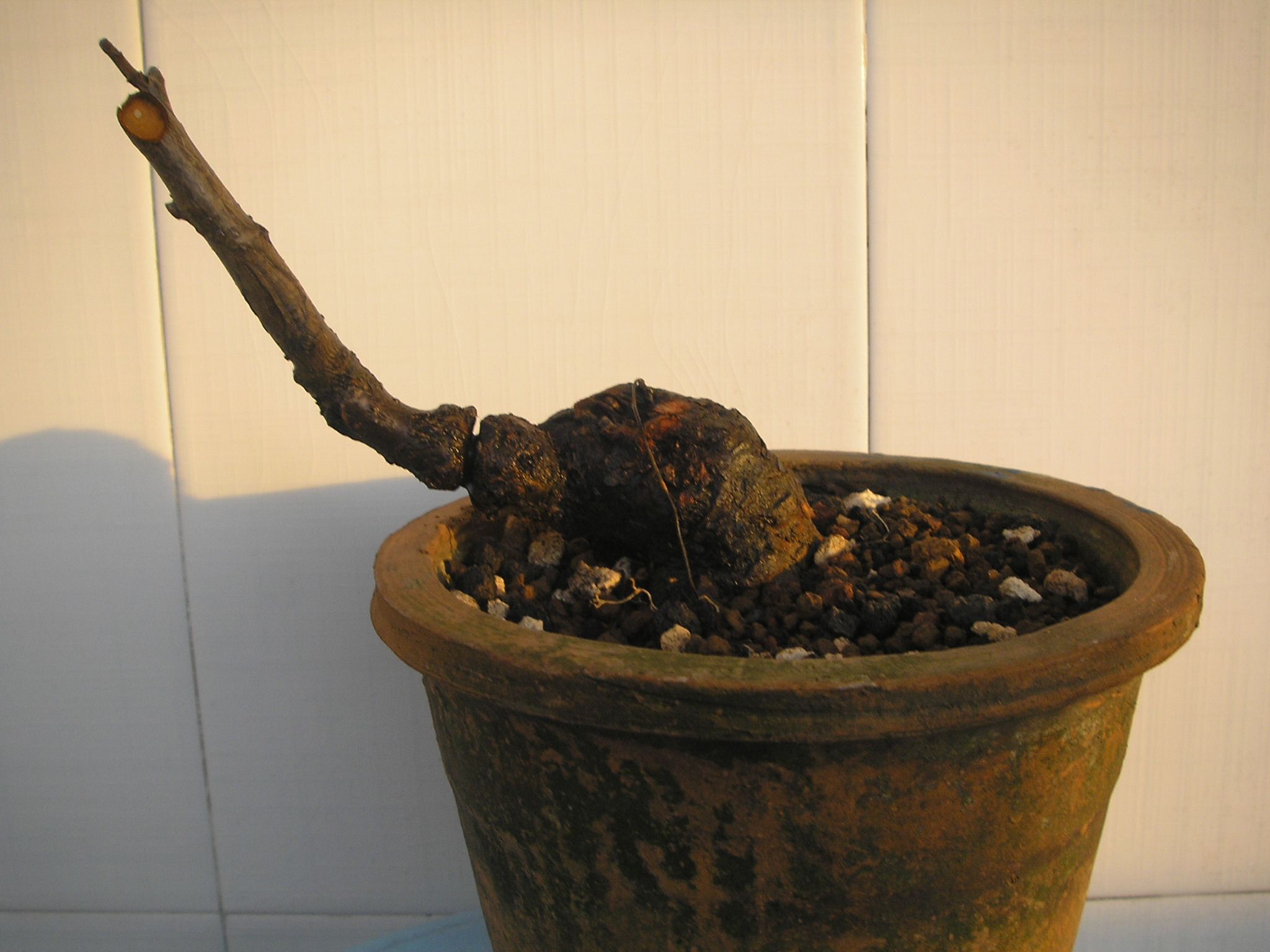 PA314629.JPG