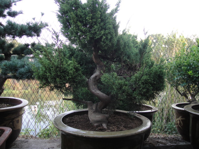 Ƭ 011.jpg