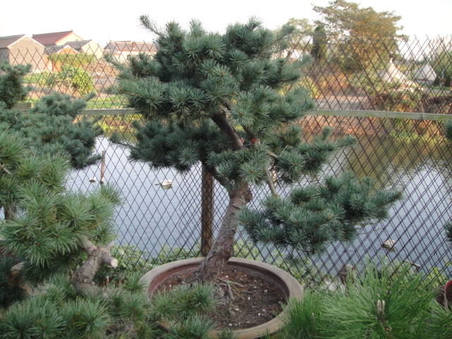 Ƭ 019.jpg