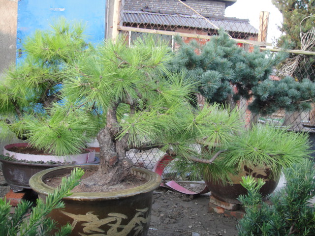 Ƭ 025.jpg