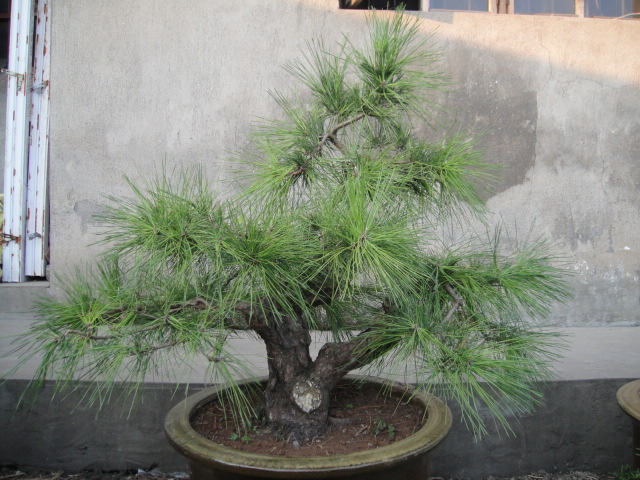 Ƭ 026.jpg