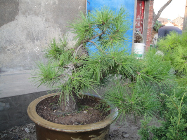 Ƭ 027.jpg