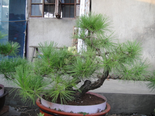 Ƭ 028.jpg