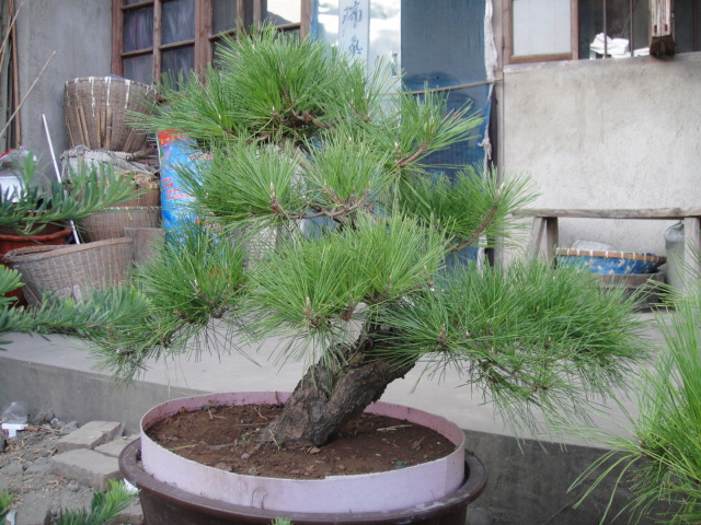 Ƭ 029.jpg