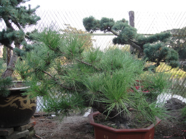 Ƭ 032.jpg