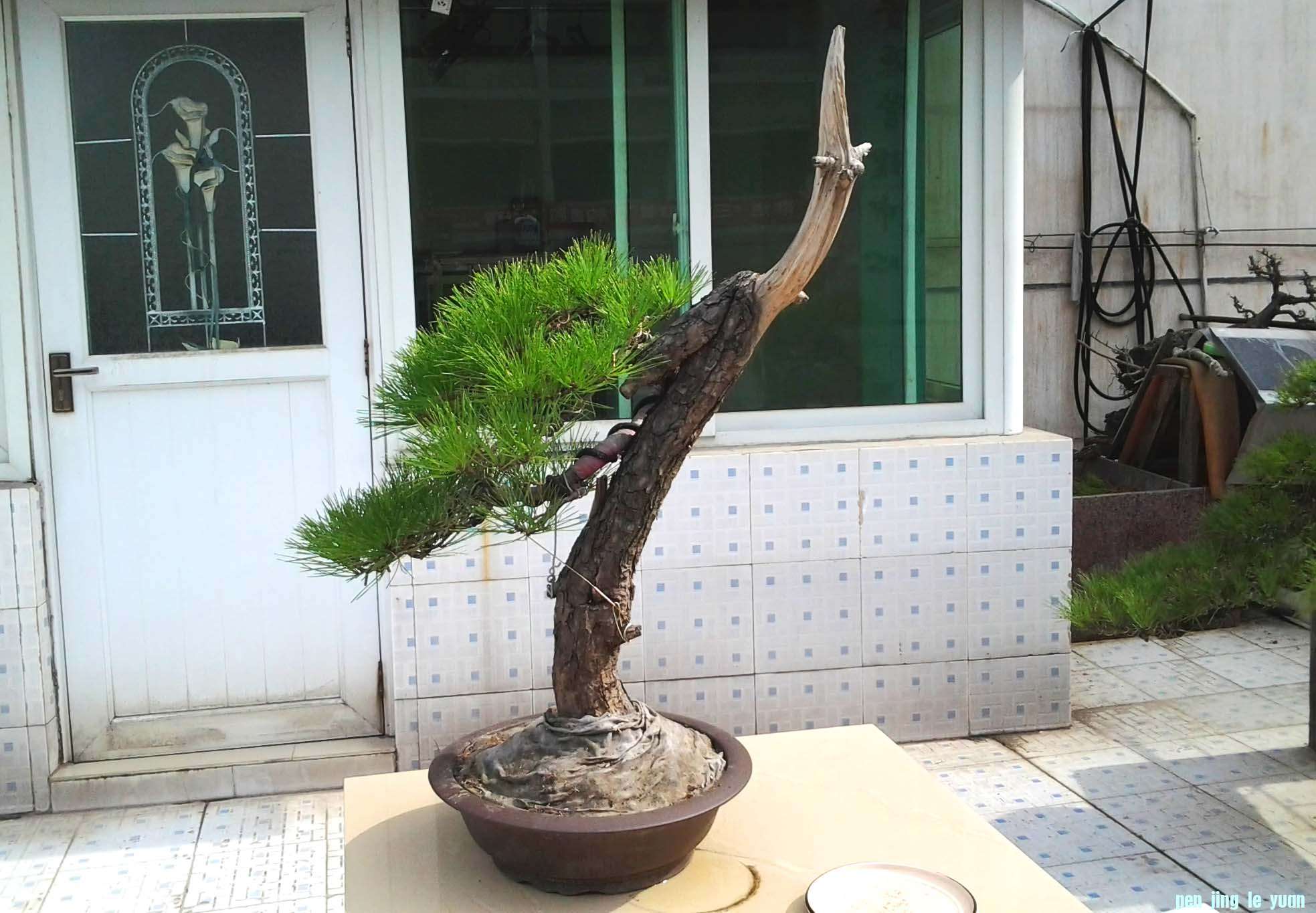 Ƭ0377.jpg