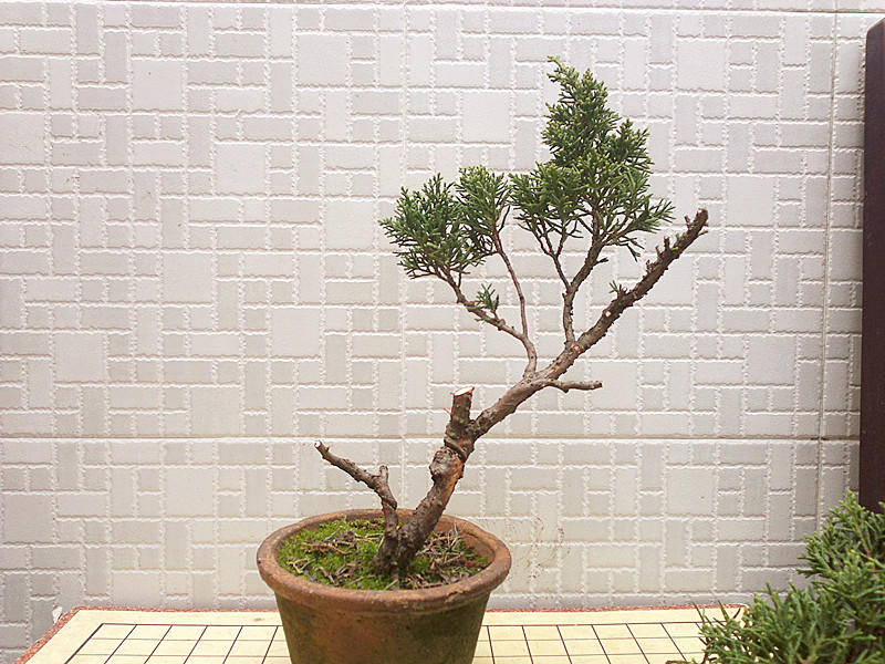 201211031940_.jpg
