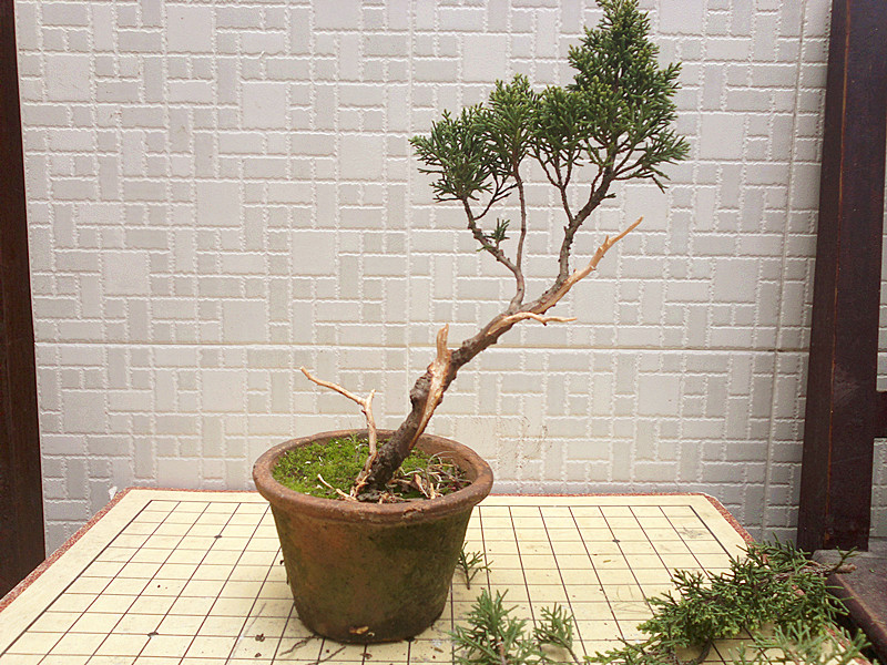 201211031941_.jpg