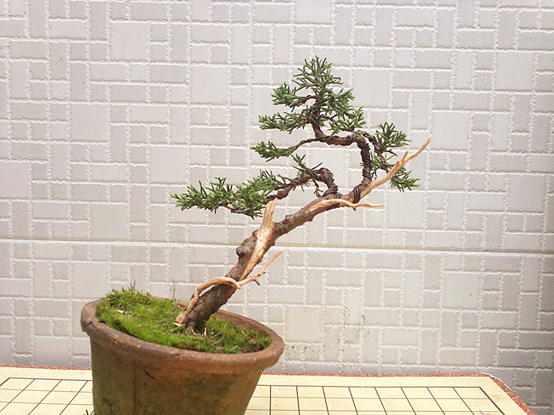 201211031942_.jpg