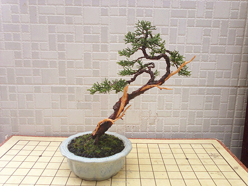 201211031945_.jpg