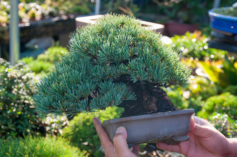 20111027-DSC_0144-L.jpg