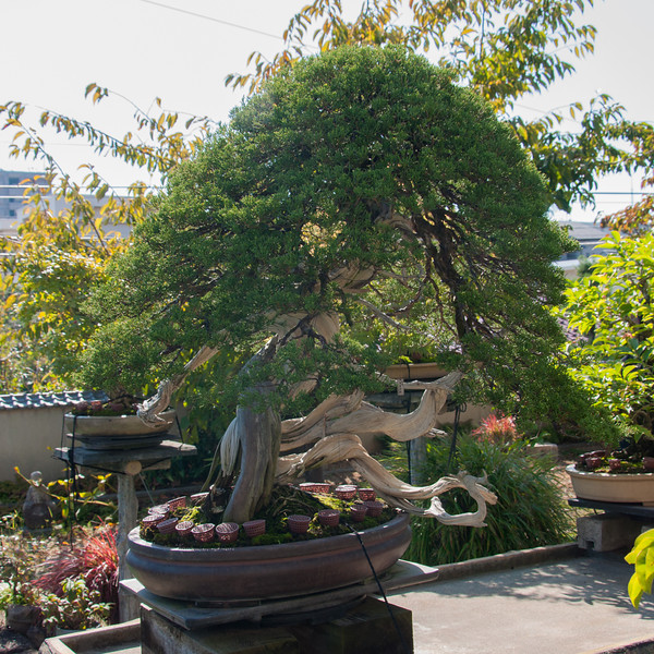 20111027-DSC_0013-L.jpg