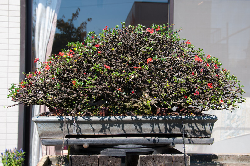 20111027-DSC_0016-L.jpg