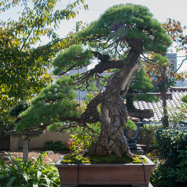 20111027-DSC_0022-L.jpg