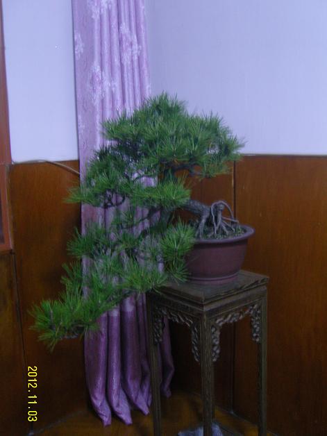 SNC10807.JPG