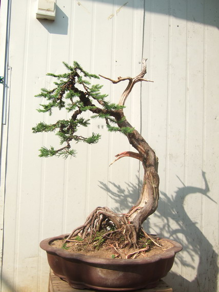 DSCF6826.jpg