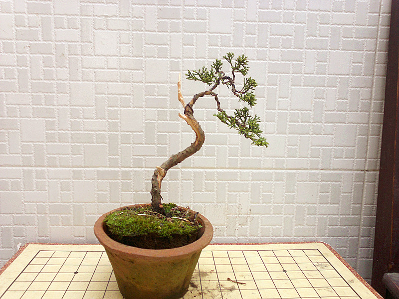 201211041956_.jpg