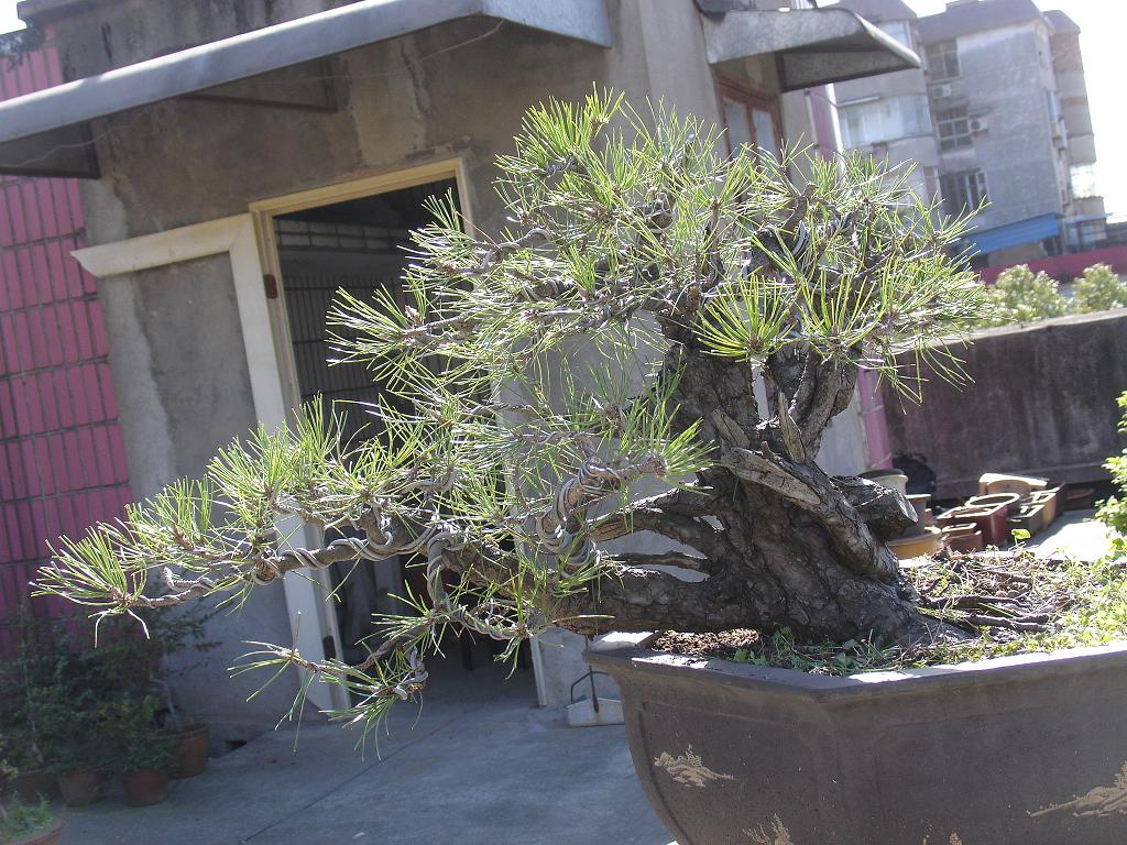 DSC00303.JPG