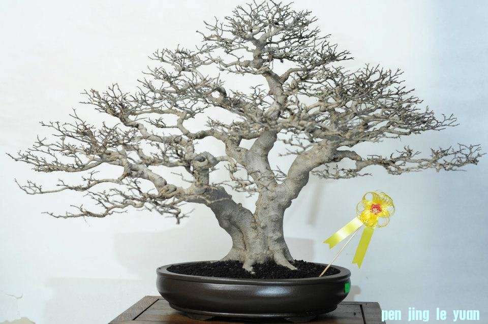 tOJ7biRsb0rNYAwLrHkzBg.jpg