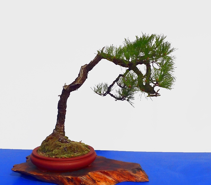 P1010217.JPG