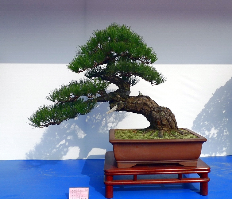 P1010236.JPG