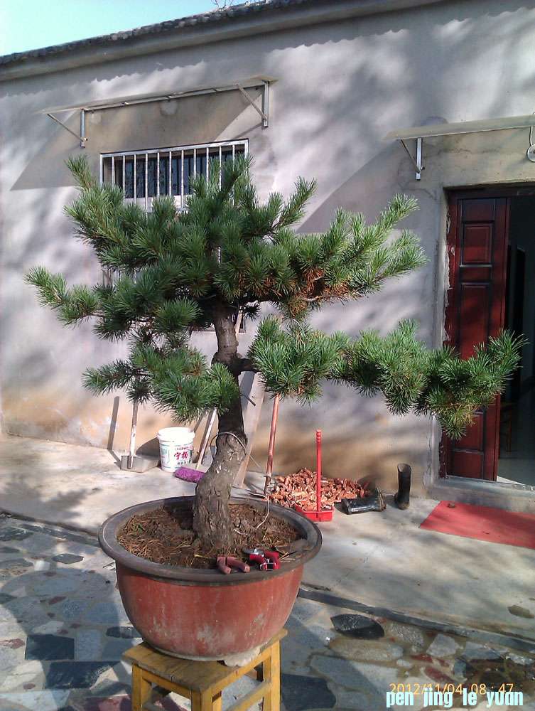 IMAG0387.jpg
