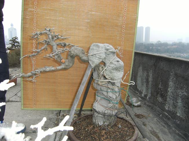 DSCF5587.JPG
