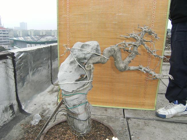 DSCF5588.JPG
