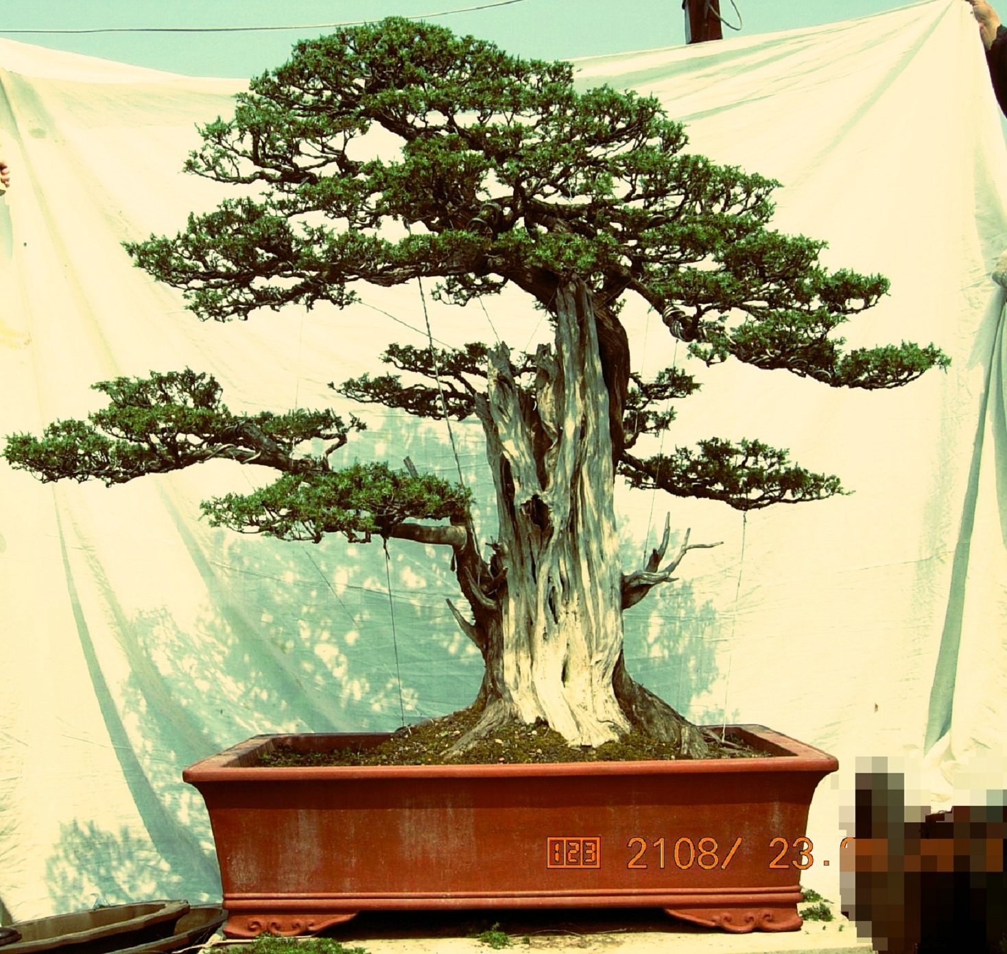 DSCN6370.JPG