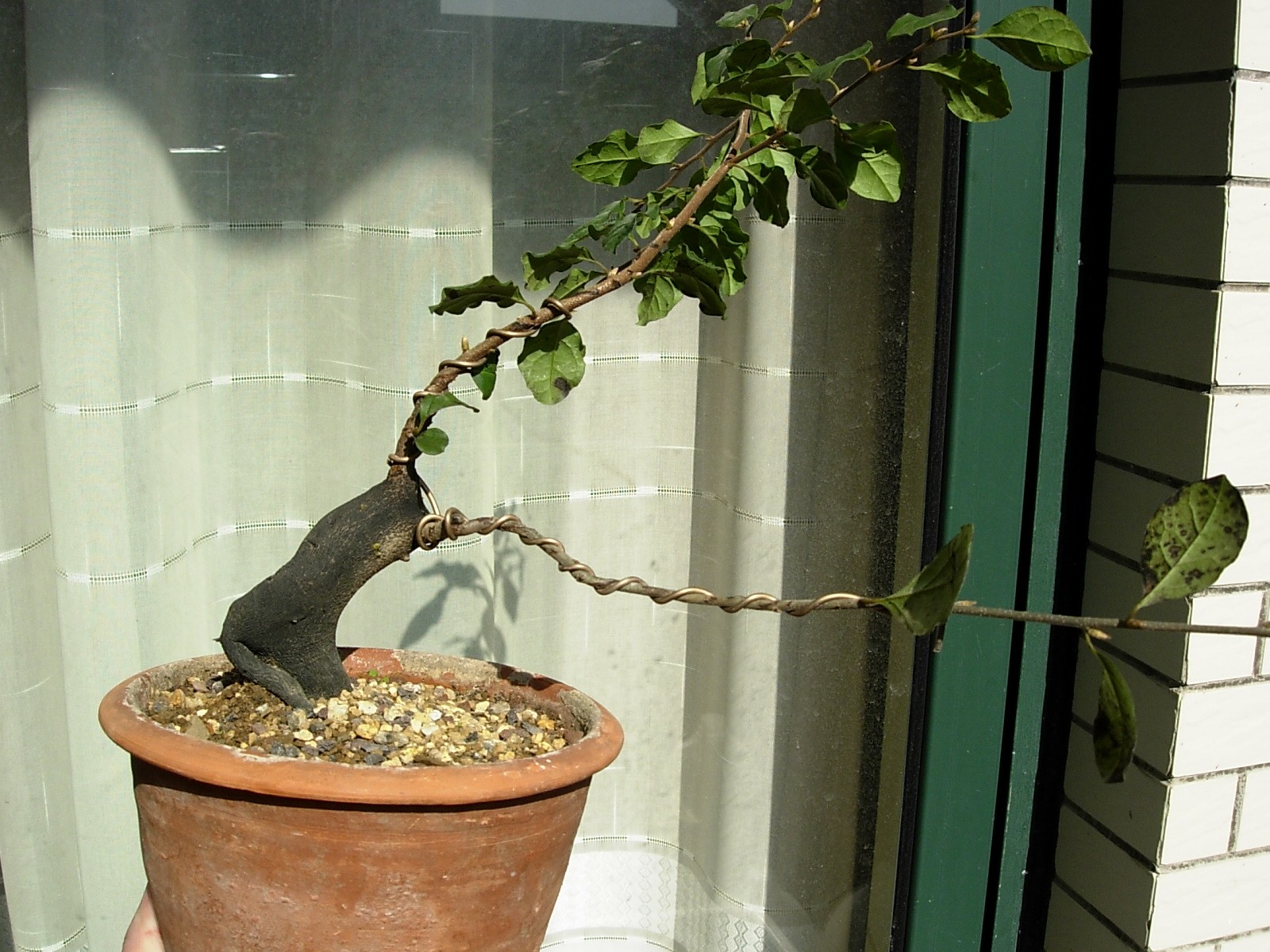 DSCN8625.JPG