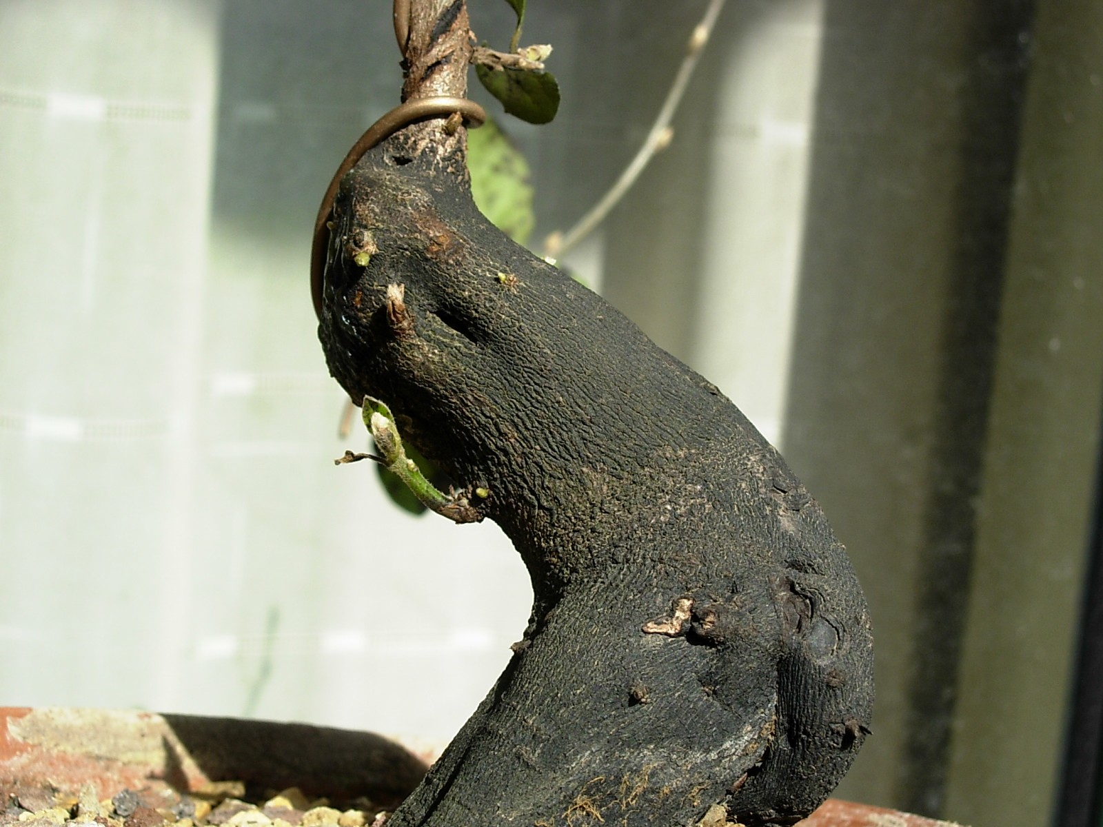 DSCN8630.JPG