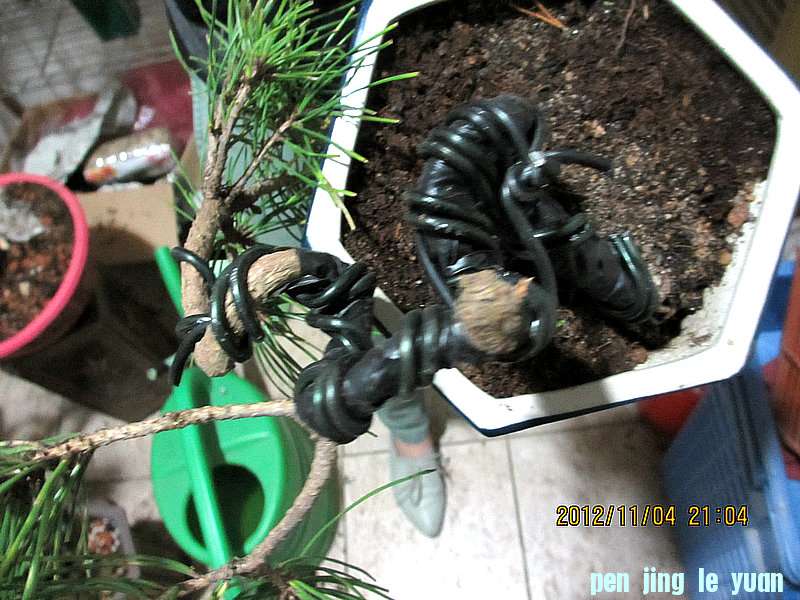 IMG_1159.JPG