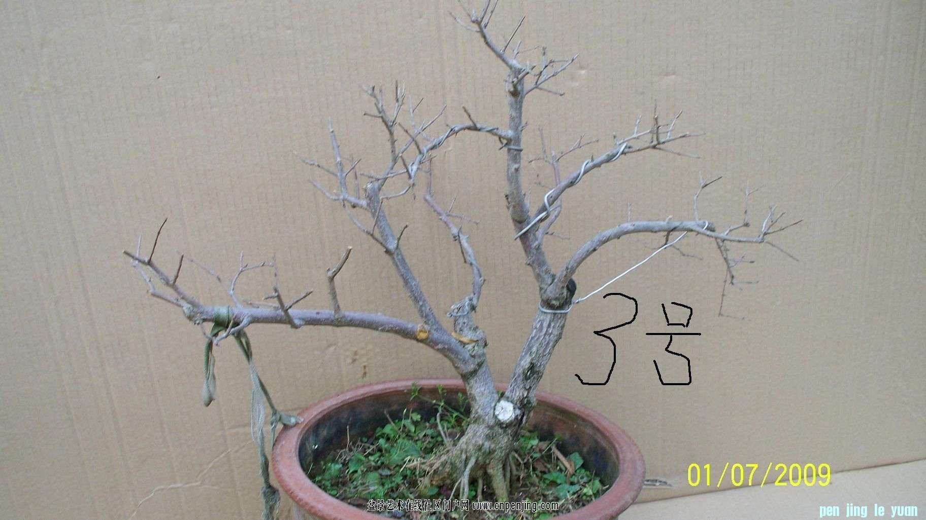 ʯ3.jpg