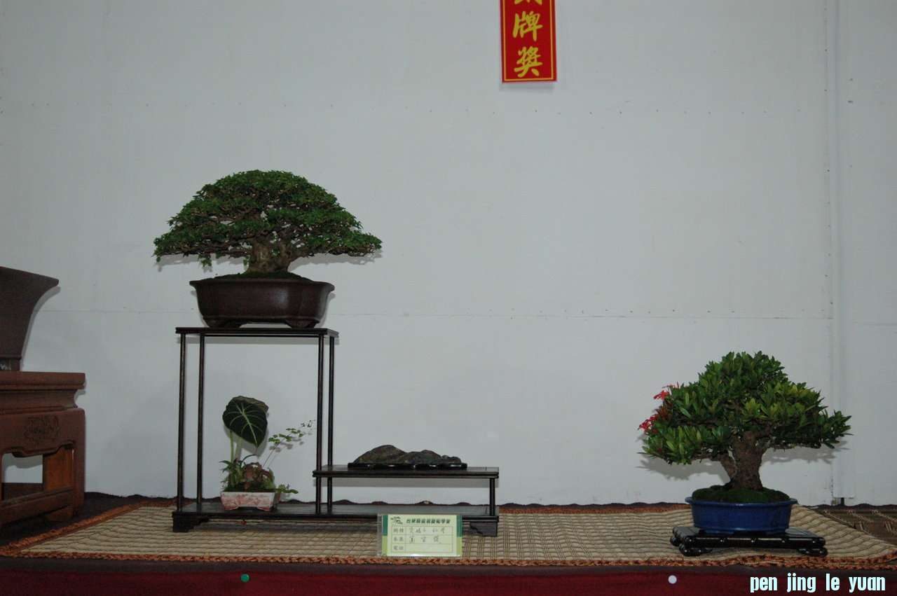 ucNp8cB49GJbN6213pE1Qg.jpg
