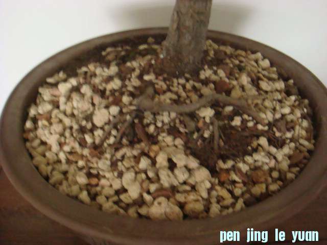 DSC02998.JPG