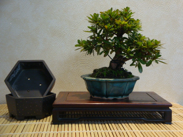 DSC01025.JPG