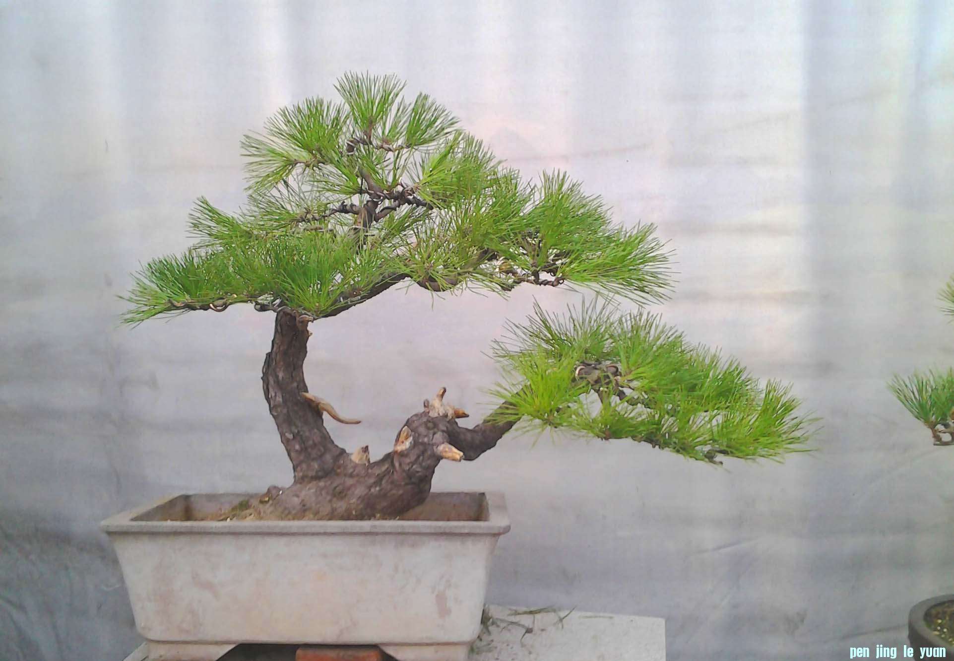 Ƭ0499.jpg