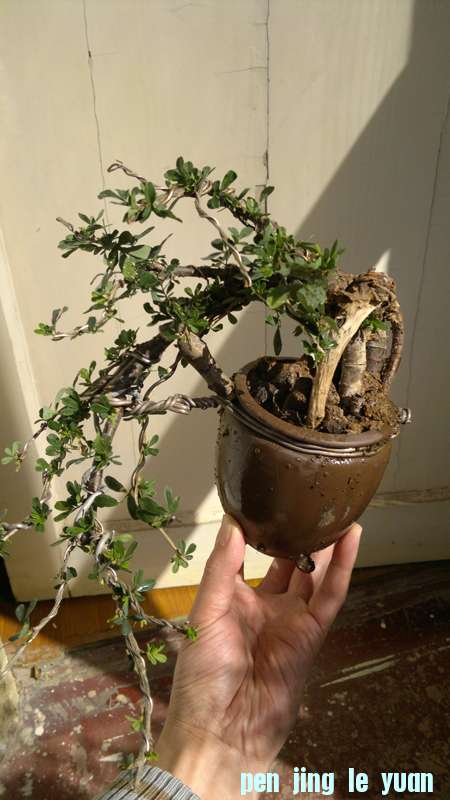 201211111539.jpg
