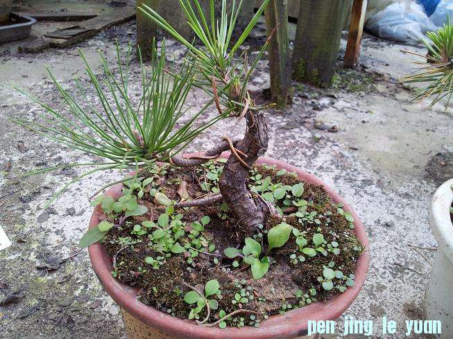 20121111_171718.jpg