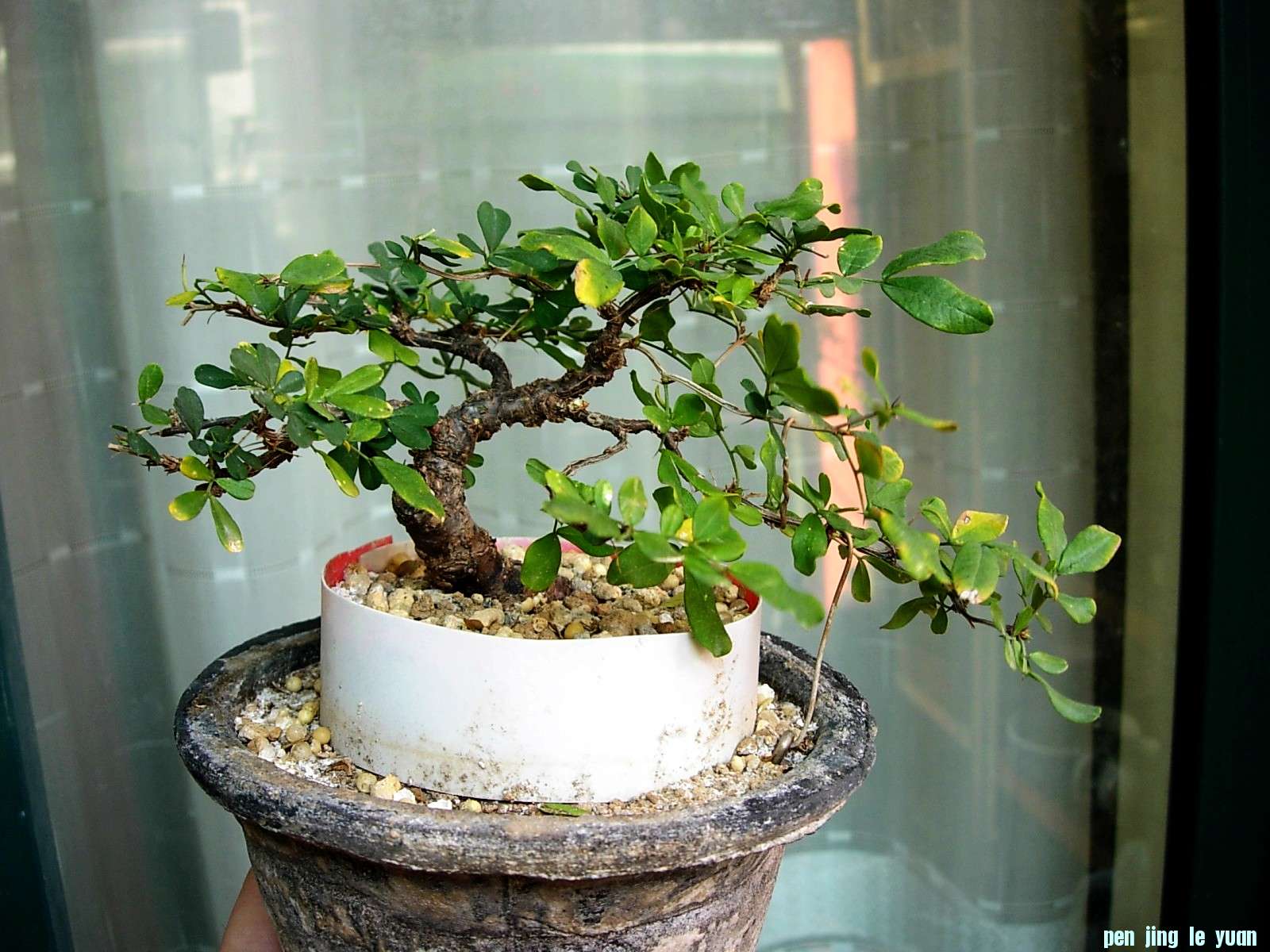 DSCN8641.JPG