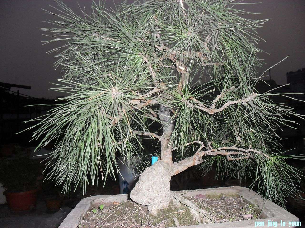 S2.JPG